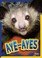 Cover of: Aye-Ayes