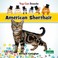 Cover of: American Shorthair