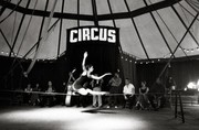 Cover of: Circus