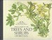 Cover of: Field guide to the trees and shrubs of Britain