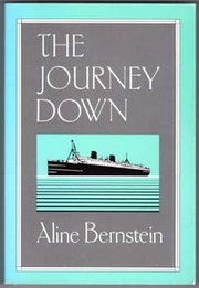 Cover of: The journey down by Aline Bernstein