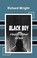 Cover of: Black boy