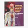 Cover of: Anatomy and Physiology for Nurses at a Glance