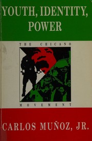 Cover of: Youth, identity, power: the Chicano movement