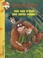 Cover of: Geronimo Stilton N43 - Dur Dur d'Etre une Super Souris
