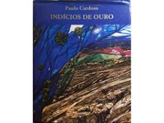 Cover of: Indícios de Ouro: às portas de um Novo Milénio