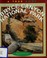 Cover of: Bryce Canyon National Park