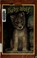 Cover of: Baby wolf