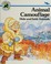 Cover of: Animal camouflage