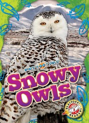 Cover of: Snowy Owls by 