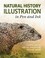 Cover of: Natural History Illustration in Pen and Ink