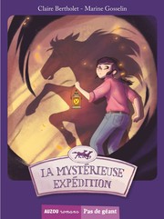 Cover of: La mystérieuse expédition