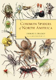 Cover of: Common spiders of North America by Richard Alan Bradley, Richard Alan Bradley