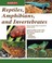 Cover of: Reptiles, amphibians, and invertebrates