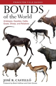 Cover of: Bovids of the world by José R. Castelló, José R. Castelló