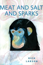 Cover of: Meat and Salt and Sparks by Rich Larson, Rich Larson