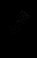 Cover of: Twelve Years a Slave