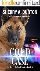 Cover of: Cold Case