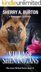 Cover of: Village Shenanigans