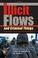 Cover of: Illicit Flows And Criminal Things