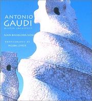 Cover of: Antonio Gaudi by Juan Bassegoda Nonell, Juan Bassegoda Nonell