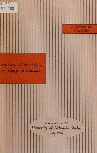 Anatomy of the adults of Loxagrotis albicosta