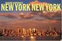 Cover of: New York New York 2006