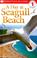 Cover of: A day at Seagull beach