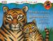 Cover of: Mama Tiger, Baba Tiger (Share-a-Story)