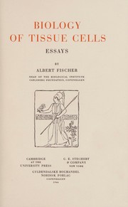 Cover of: Wahlheimat am Meer by Irmgard Heilmann, Irmgard Heilmann