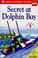 Cover of: Secret at Dolphin Bay