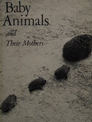 Cover of: Baby animals and their mothers.