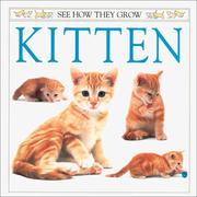 Kitten by Burton, Jane., Jane Burton