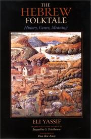 Cover of: The Hebrew Folktale: History, Genre, Meaning (Folklore Studies in Translation)