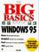 Cover of: The big basics book of Windows 95