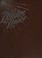 Cover of: Flashes of Light From an Imprisioned Soul