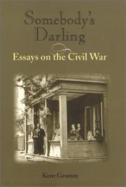 Cover of: Somebody's darling: essays on the Civil War
