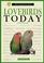 Cover of: Lovebirds today