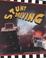 Cover of: Stunt Driving (Race Car Legends Series)