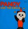 Cover of: Pandy and the circus