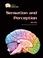 Cover of: Sensation And Perception (Gray Matter)