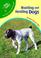 Cover of: Hunting And Herding Dogs