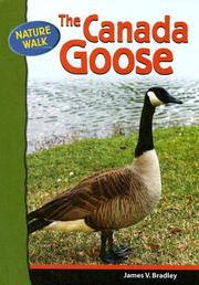 Cover of: The Canada Goose (Nature Walk)