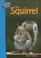 Cover of: The Squirrel (Nature Walk)