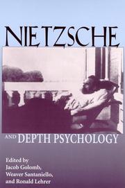 Cover of: Nietzsche and depth psychology by edited by Jacob Golomb, Weaver Santaniello, and Ronald L. Lehrer.