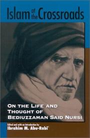Cover of: Islam at the crossroads: on the life and thought of Bediuzzaman Said Nursi