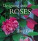 Cover of: Designing with roses