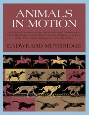 Cover of: Animals in motion