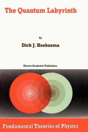 Cover of: The quantum labyrinth by Dick J. Hoekzema