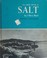 Cover of: The first book of salt